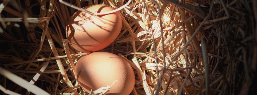 台灣瑪摩 MOOOI Nesting