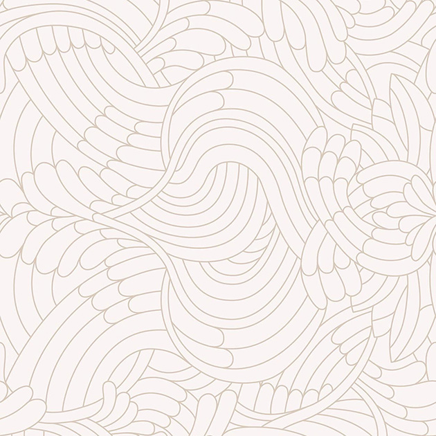 瑰羽孔雀-象牙白