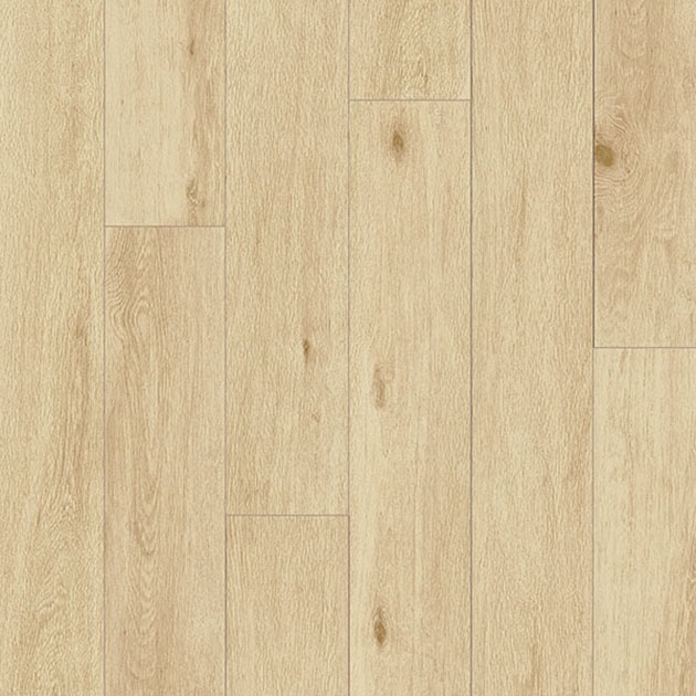 原木序曲 - 楓香木