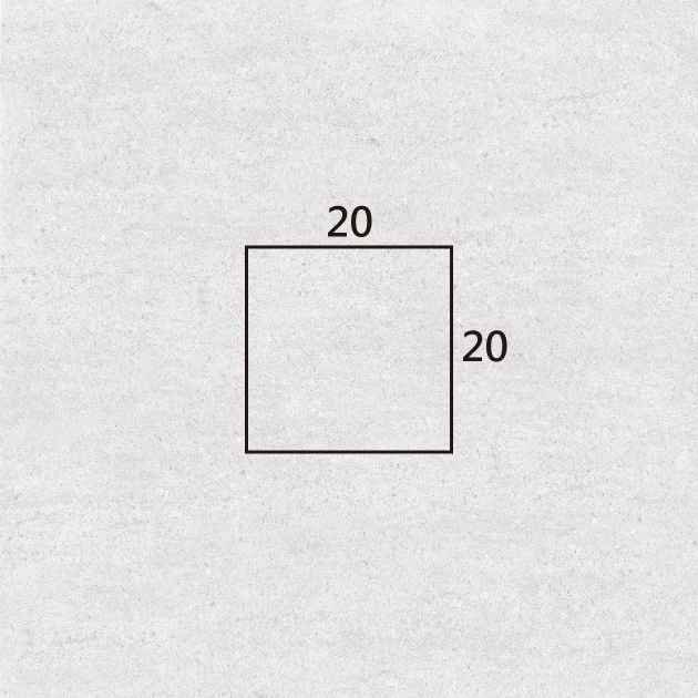 20x20