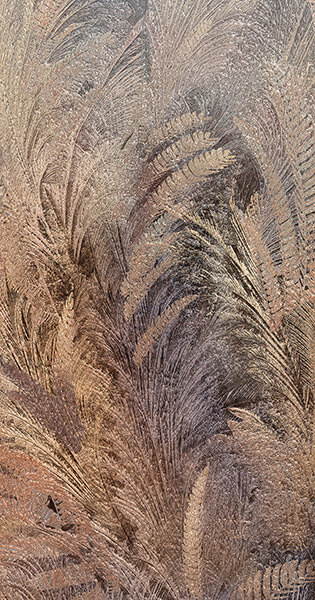 台灣瑪摩 ABK 棕梠(對紋A) 120X280 台灣瑪摩 ABK 棕梠(對紋A) 120X280