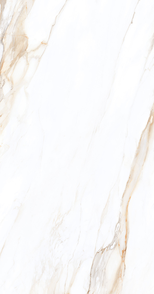 台灣瑪摩-MML-博基尼大花白60X120