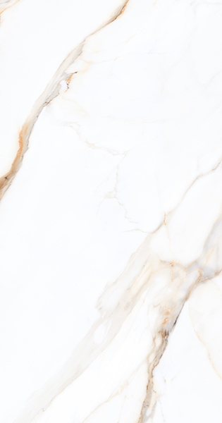 台灣瑪摩-MML-博基尼大花白60X120