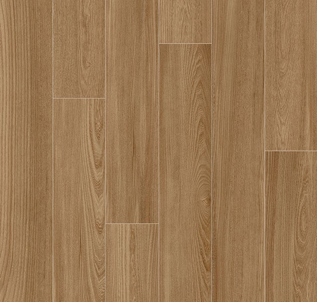 台灣瑪摩-MML-伯克利-榛果木